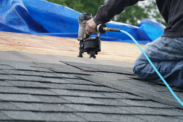 Best Roof Gutter Cleaning  in Osburn, ID